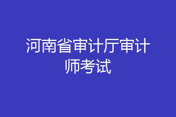 河南省审计厅审计师考试