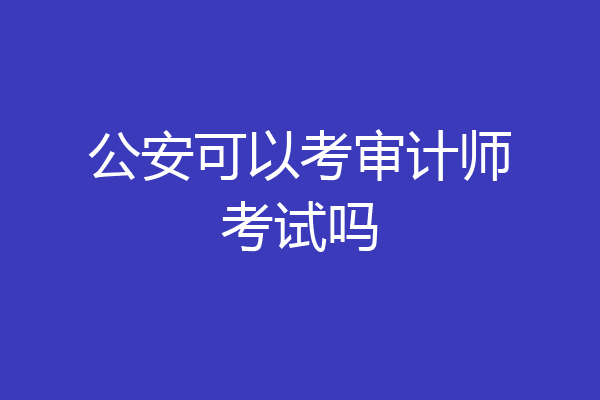 公安可以考审计师考试吗