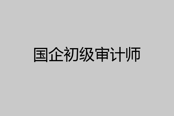国企初级审计师