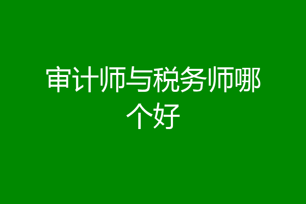 审计师与税务师哪个好