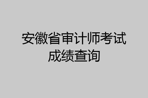 安徽省审计师考试成绩查询