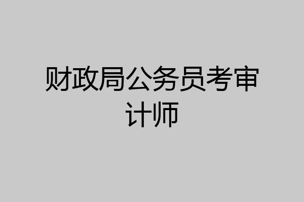 财政局公务员考审计师