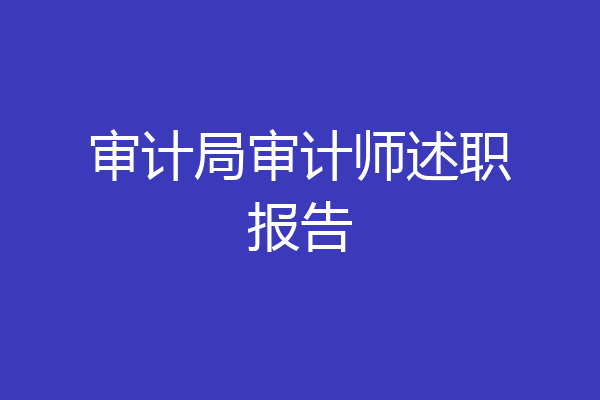 审计局审计师述职报告