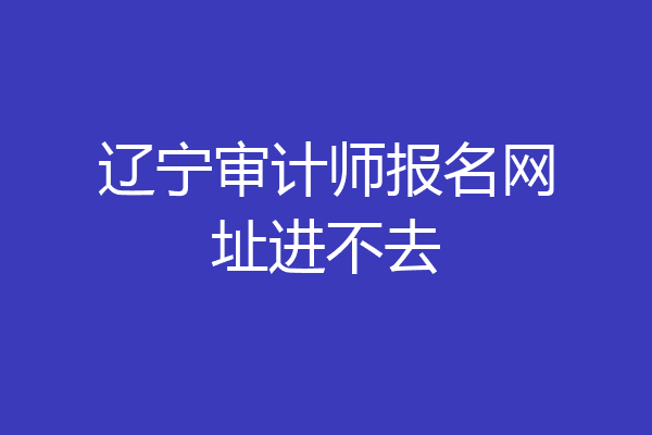 辽宁审计师报名网址进不去