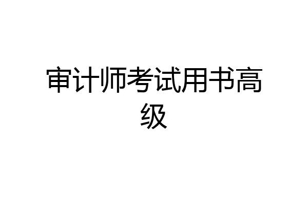审计师考试用书高级