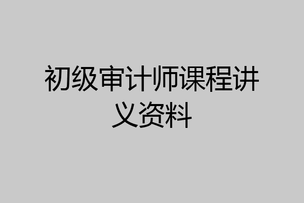 初级审计师课程讲义资料