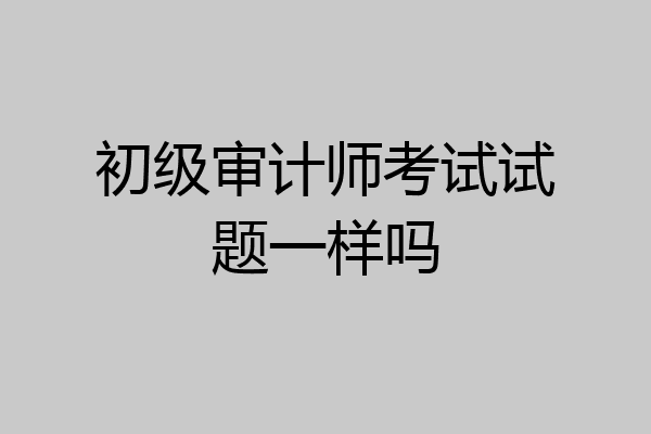 初级审计师考试试题一样吗