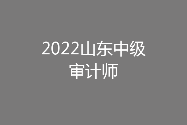 2022山东中级审计师