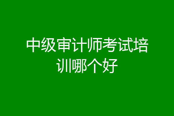 中级审计师考试培训哪个好