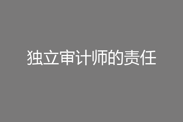 独立审计师的责任
