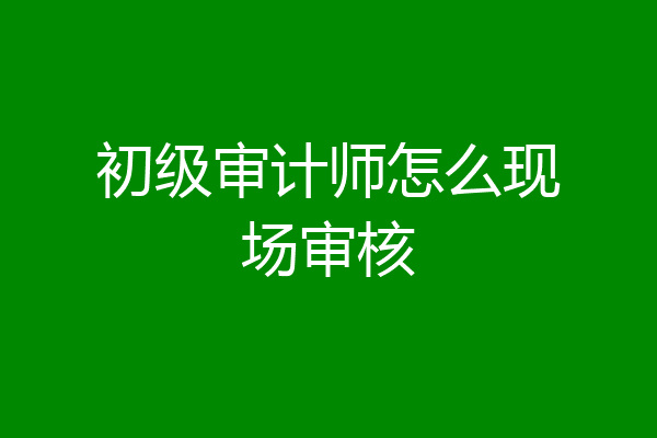初级审计师怎么现场审核