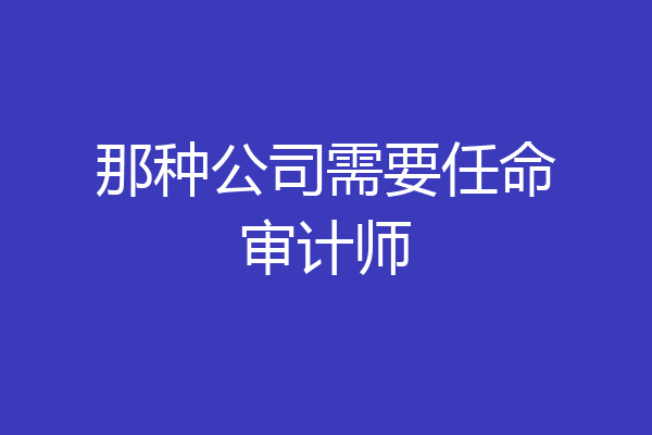 那种公司需要任命审计师