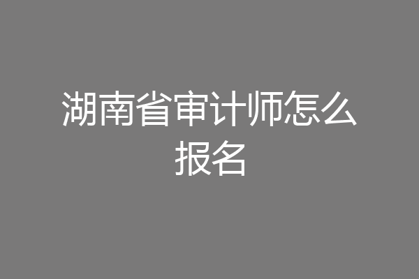 湖南省审计师怎么报名