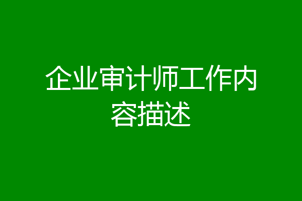 企业审计师工作内容描述