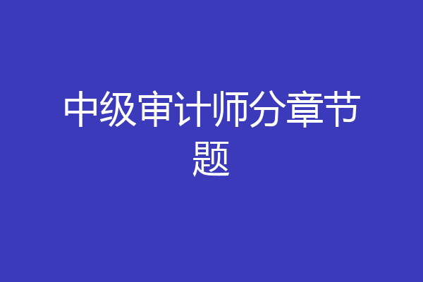 中级审计师分章节题