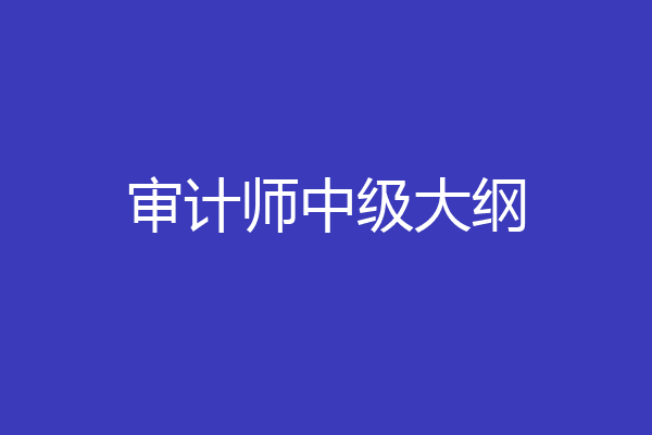 审计师中级大纲