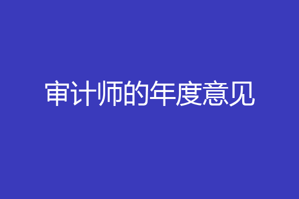审计师的年度意见