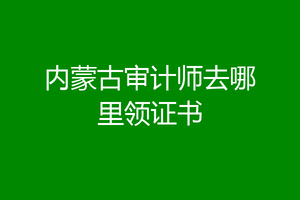 内蒙古审计师去哪里领证书