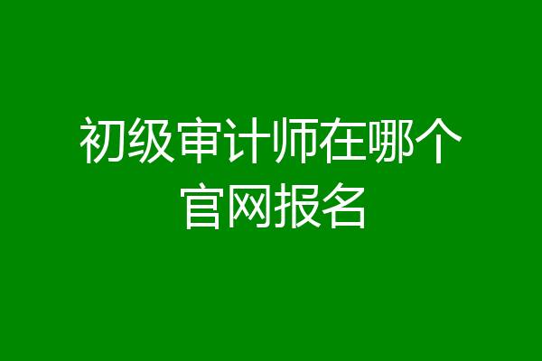 初级审计师在哪个官网报名