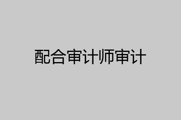 配合审计师审计