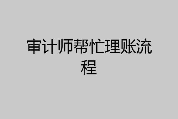审计师帮忙理账流程