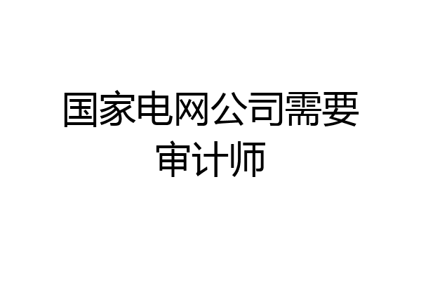 国家电网公司需要审计师