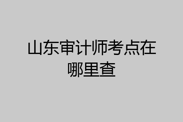 山东审计师考点在哪里查