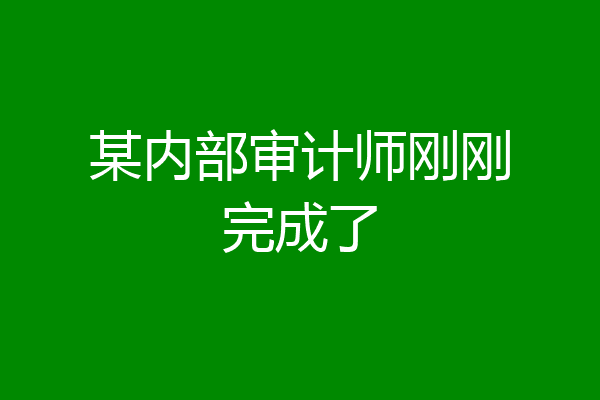 某内部审计师刚刚完成了