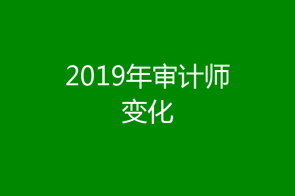 2019年审计师变化