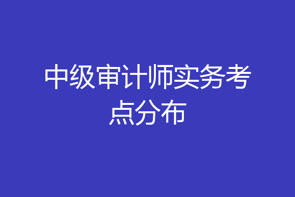 中级审计师实务考点分布
