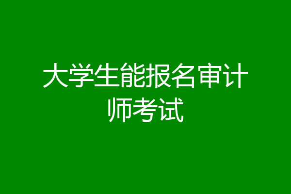 大学生能报名审计师考试