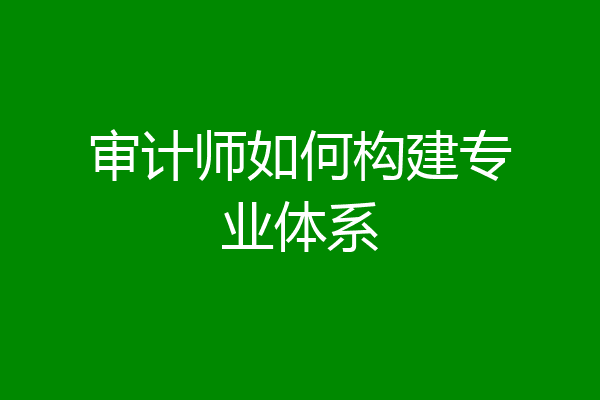 审计师如何构建专业体系