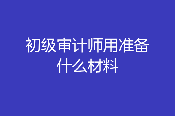 初级审计师用准备什么材料