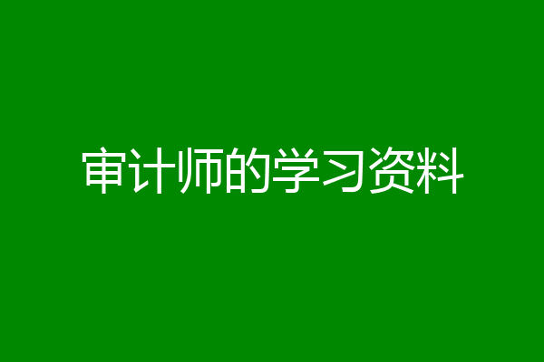审计师的学习资料