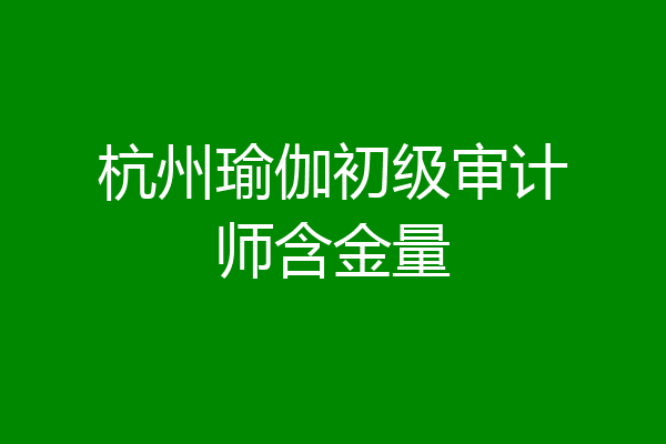 杭州瑜伽初级审计师含金量
