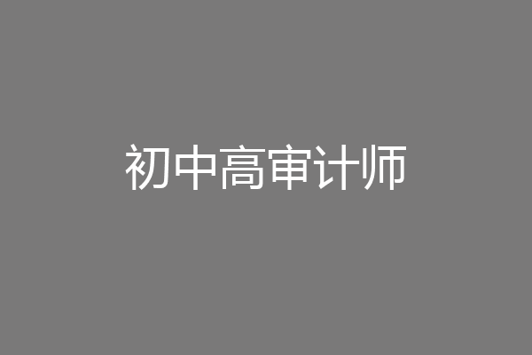 初中高审计师