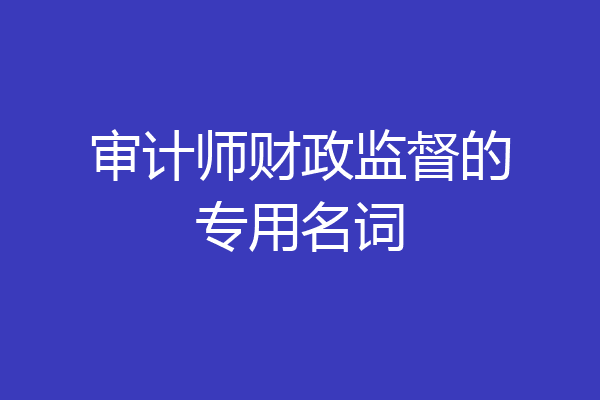 审计师财政监督的专用名词
