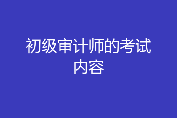 初级审计师的考试内容