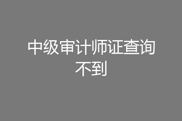 中级审计师证查询不到