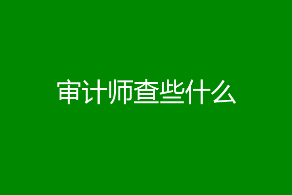 审计师查些什么