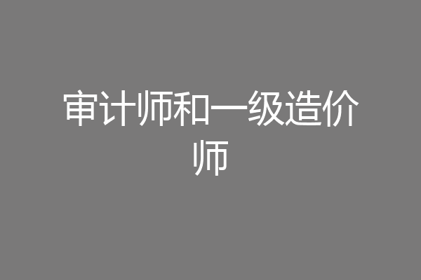 审计师和一级造价师