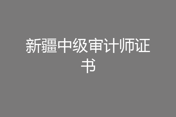 新疆中级审计师证书