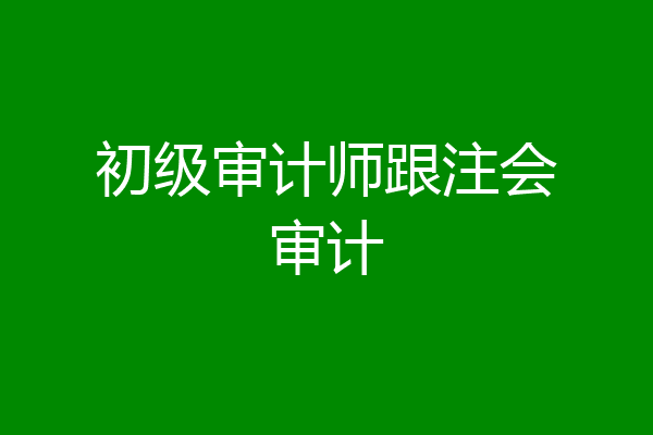 初级审计师跟注会审计