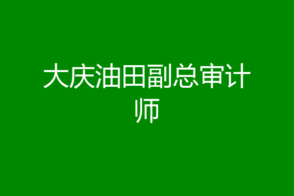大庆油田副总审计师