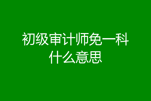 初级审计师免一科什么意思