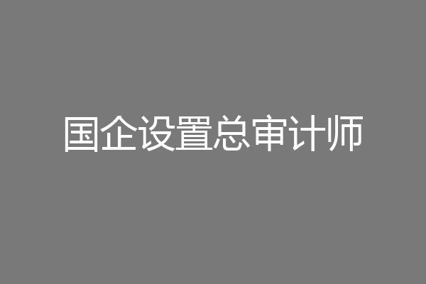 国企设置总审计师