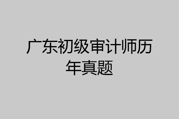 广东初级审计师历年真题