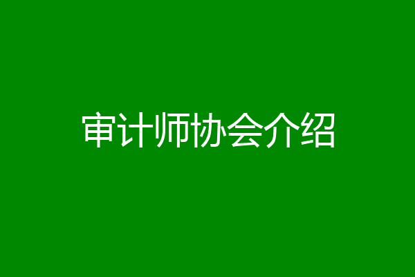 审计师协会介绍