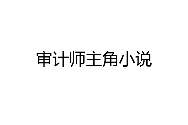 审计师主角小说
