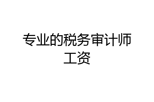专业的税务审计师工资